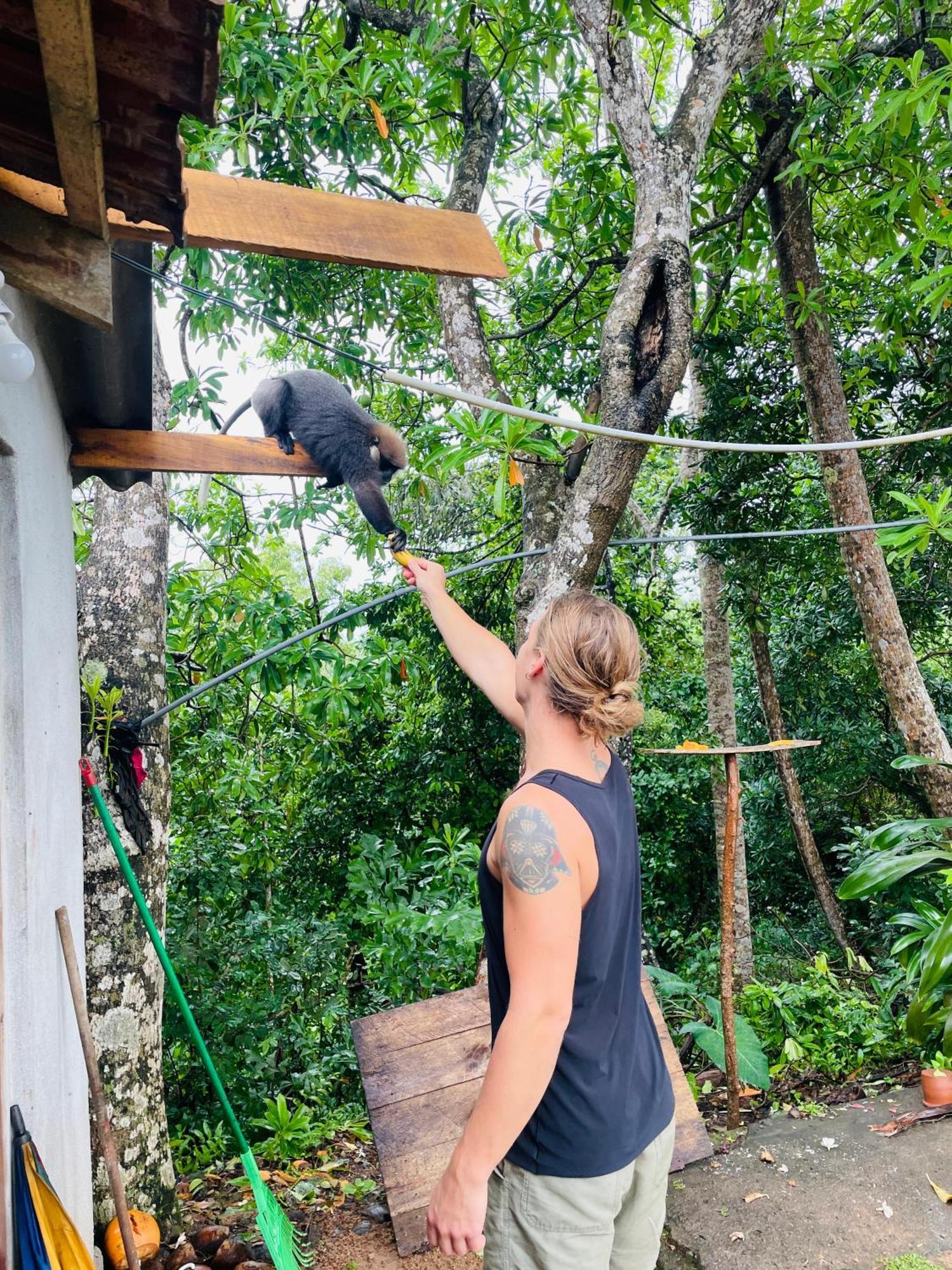 Sky Mountain Cafe With Seaview Bed & Breakfast Weligama Ngoại thất bức ảnh