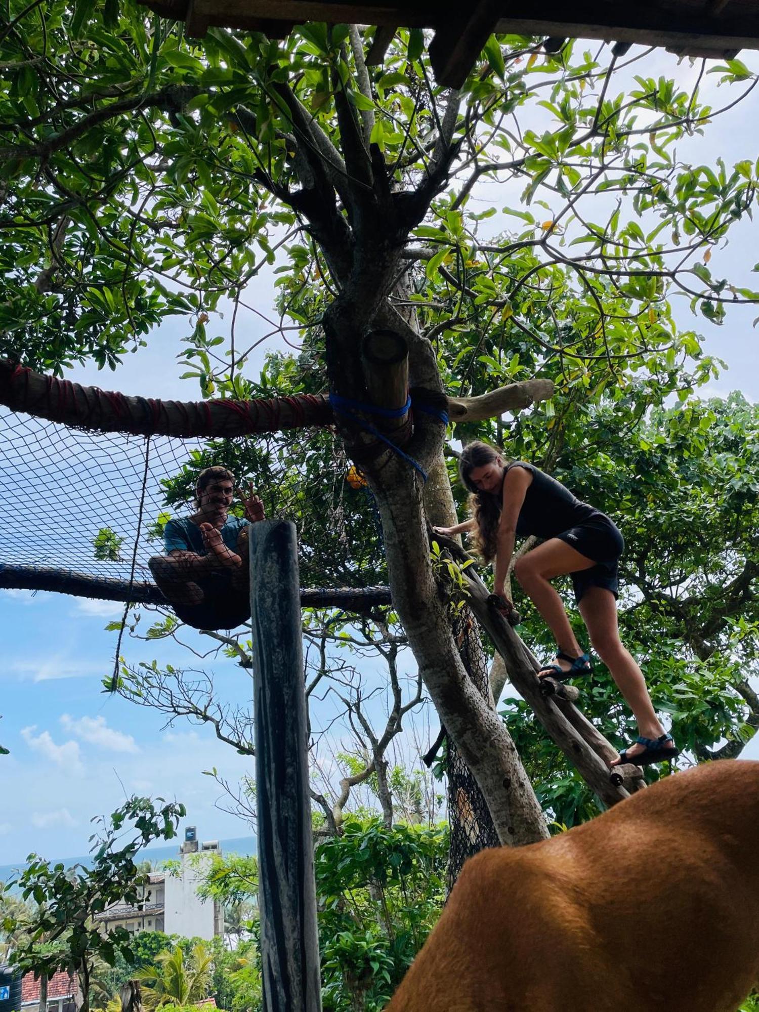 Sky Mountain Cafe With Seaview Bed & Breakfast Weligama Ngoại thất bức ảnh