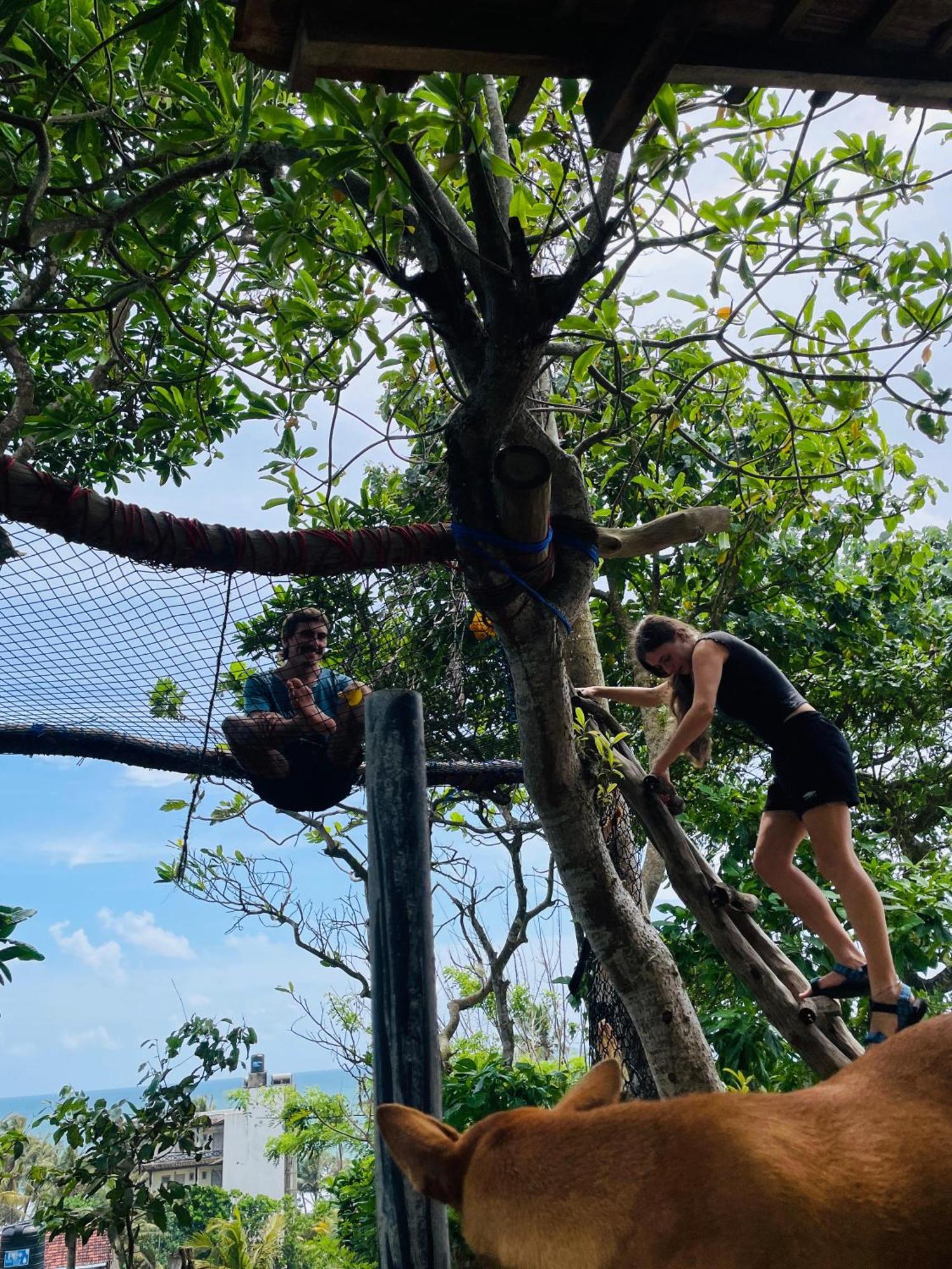 Sky Mountain Cafe With Seaview Bed & Breakfast Weligama Ngoại thất bức ảnh
