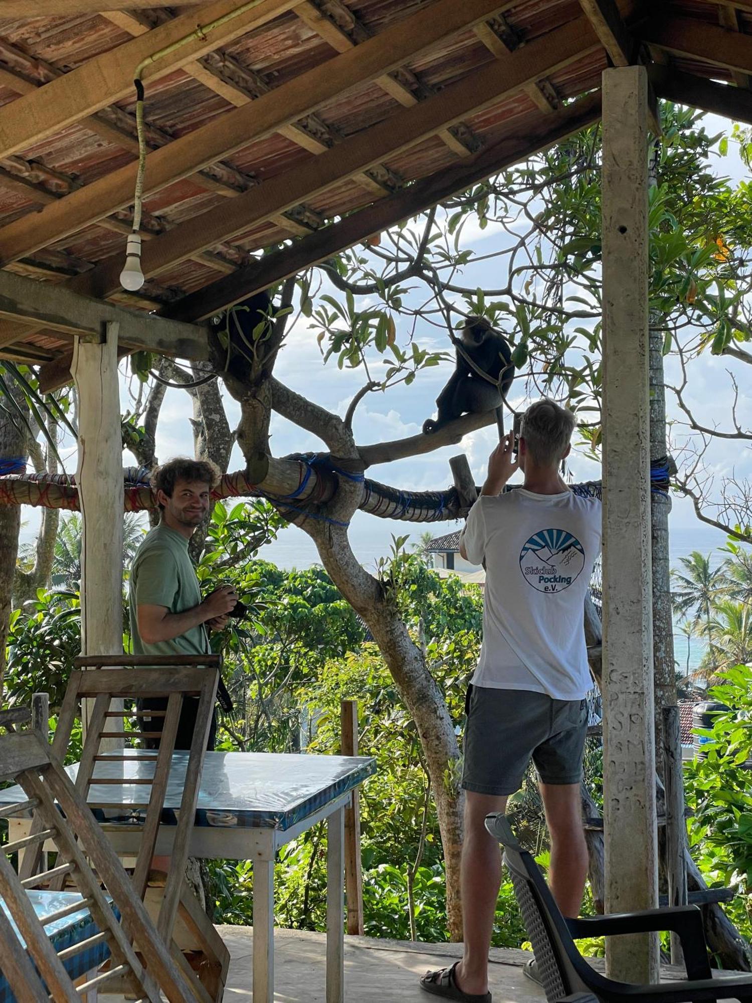 Sky Mountain Cafe With Seaview Bed & Breakfast Weligama Ngoại thất bức ảnh
