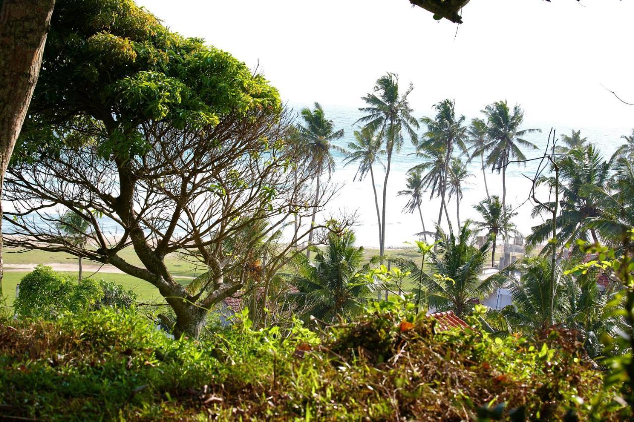 Sky Mountain Cafe With Seaview Bed & Breakfast Weligama Ngoại thất bức ảnh