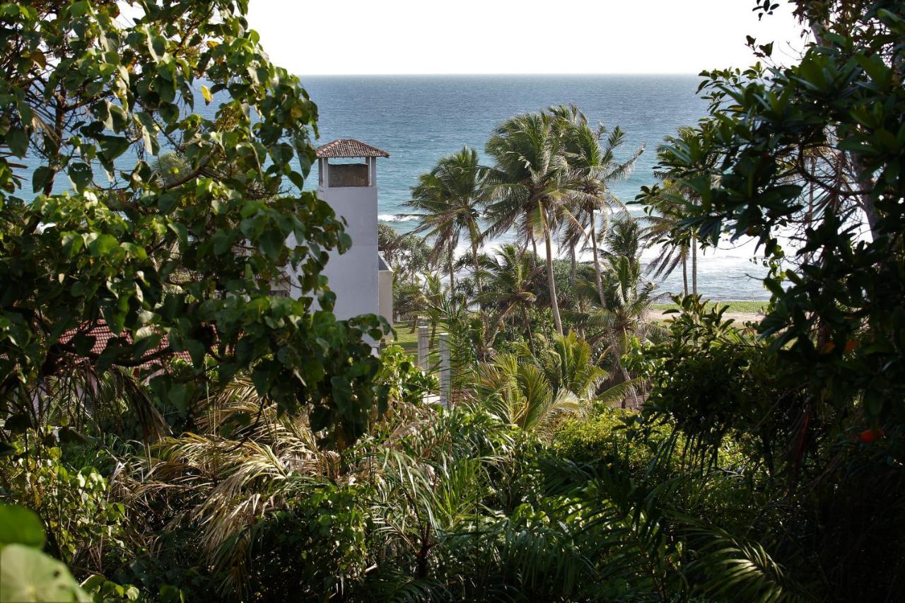Sky Mountain Cafe With Seaview Bed & Breakfast Weligama Ngoại thất bức ảnh